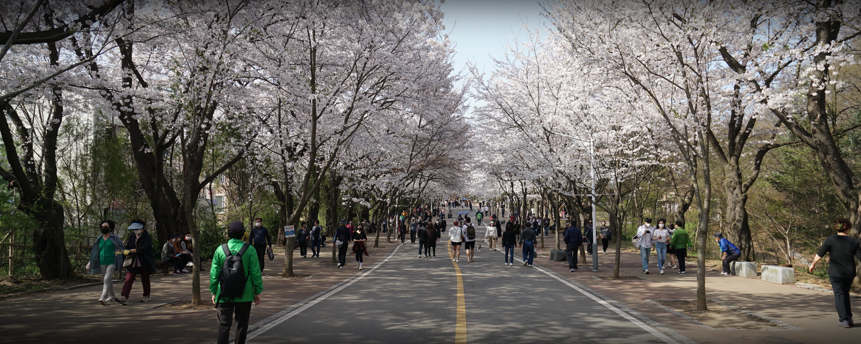 Film Friendly, Korea